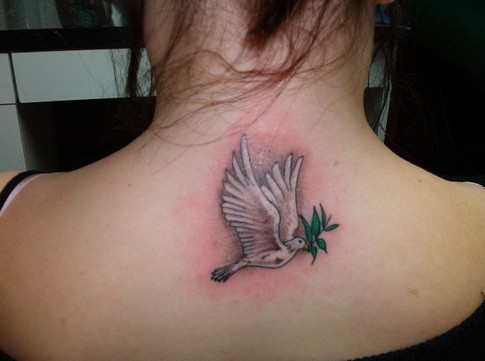 http://www.jokertattoo.net/joker_tattoo_blog/images/articles/freestyle/traditional-dove-tattoo-color.jpg