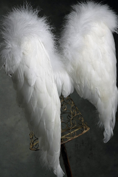 White Angel Wings - Goose Feathers (Med.) 27 x 23
