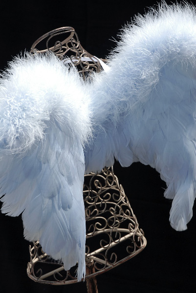 Small Blue Deluxe Angel Wings - 21 x 17 - Goose & Marabou