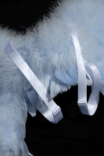 Small Blue Deluxe Angel Wings - 21 x 17 - Goose & Marabou