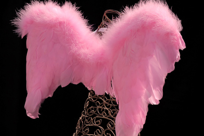 Small Pink Angel Wings 21 x 17 (Goose)