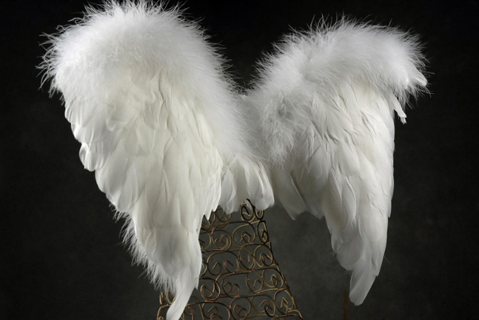 Small White Angel Wings 21 x 17 (Goose)