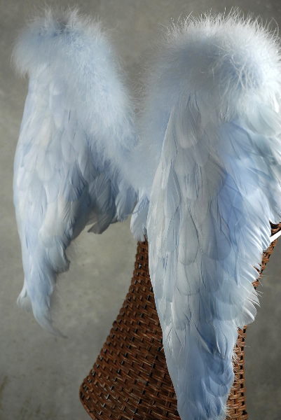 Blue Angel Wings (Med.) 27 x 23 - Goose & Marabou