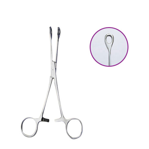 Forester Forcep - Stainless Steel 6" w/ Lock
