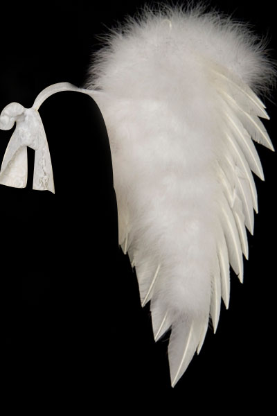 Wht. Angel Wings-Turkey Feath. with Lace tie strap (Med.)27 x 23