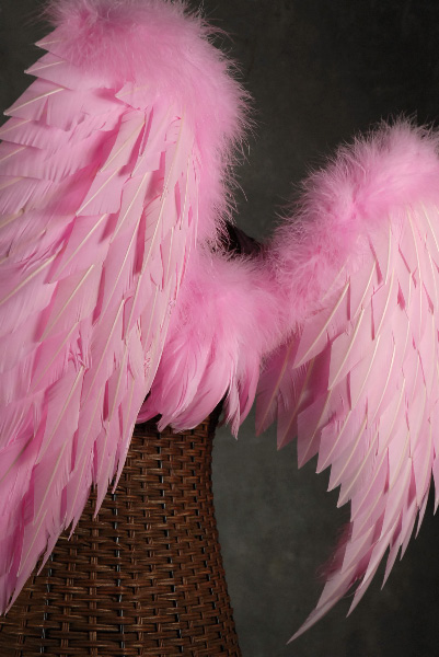 Pink Angel Wings (Lg.) 32 x 31 1/2"
