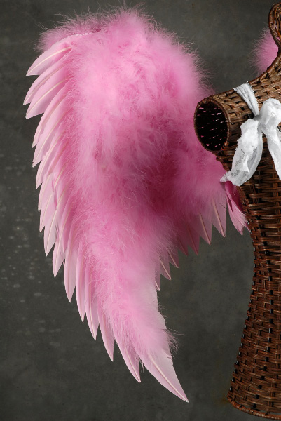 Pink Angel Wings 32 x 31 1/2 Victoria's Secret Pink Angel ...