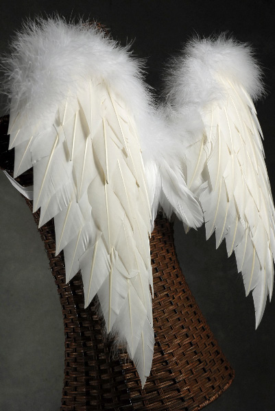 White Angel Wings - Turkey Feathers (Med.) 27 x 23 | Joker Tattoo