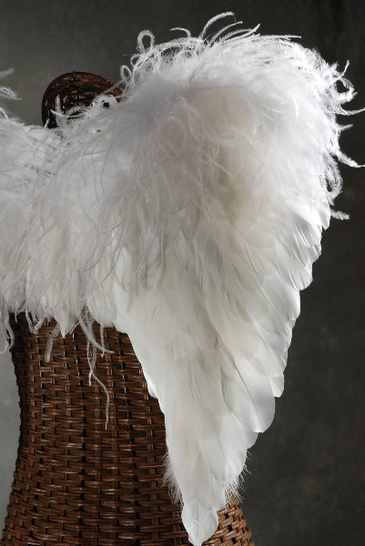White Deluxe Angel Wings (Lg.) 32 x 31 1/2"