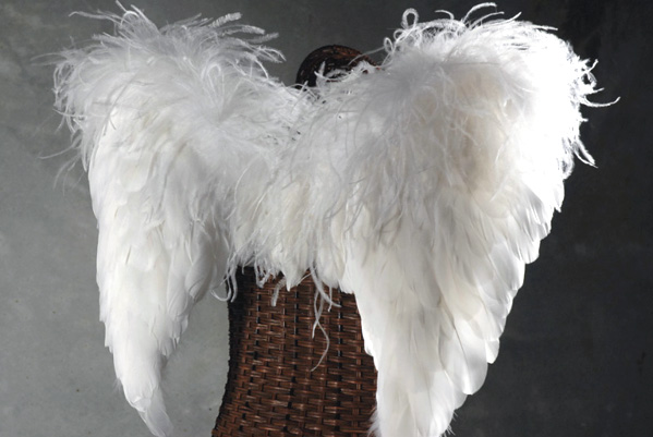 White Deluxe Angel Wings-Goose (Med.) 27 x 23