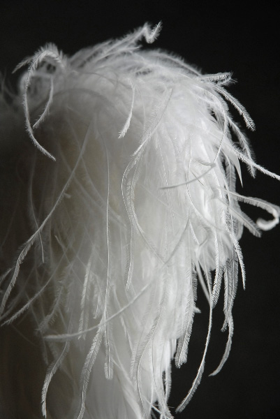 Deluxe Small White Angel Wings-Curly Ostrich 21 x 17
