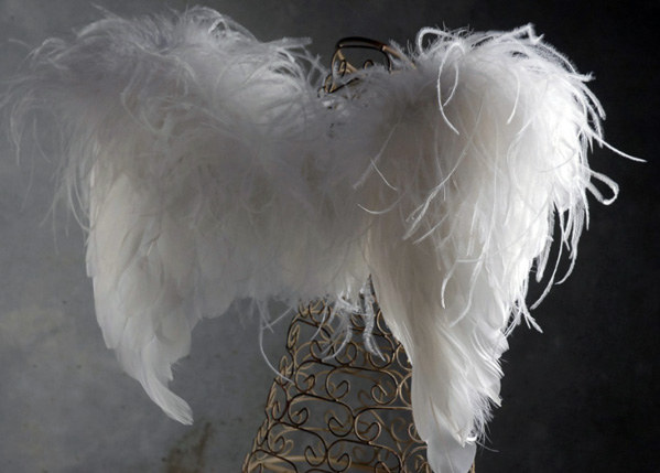 Deluxe Small White Angel Wings-Curly Ostrich 21 x 17