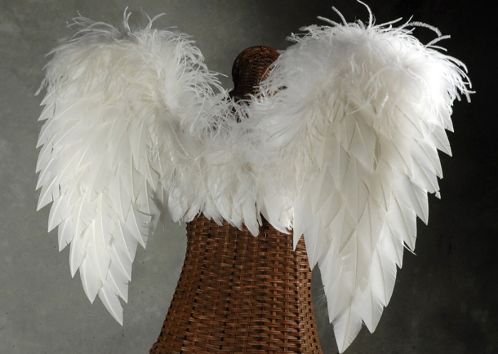 White Deluxe Angel Wings -Turkey (Med.) 27 x 23