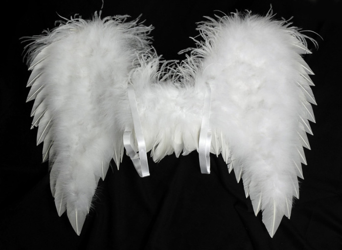 White Deluxe Angel Wings -Turkey (Med.) 27 x 23