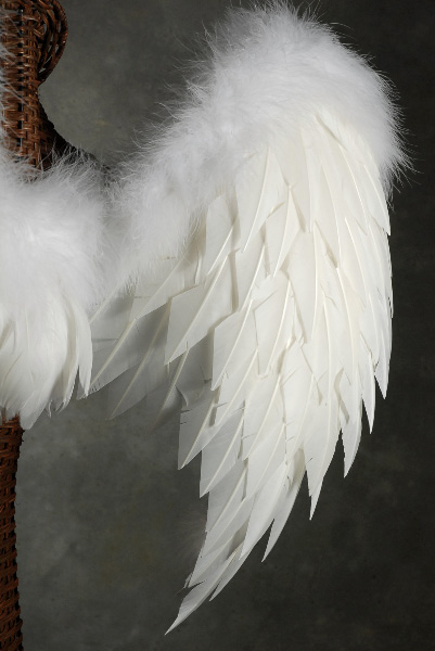 White Angel Wings (Lg.) 32 x 31 1/2"