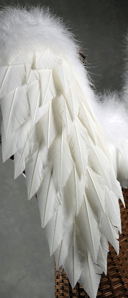 White Angel Wings (Lg.) 32 x 31 1/2"